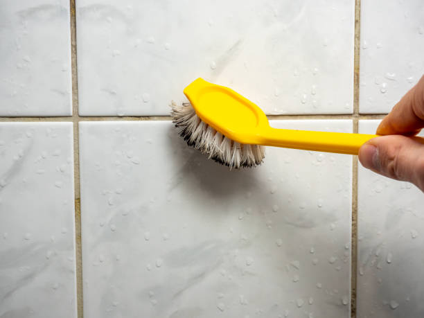 Best Office Mold Removal Services  in Doraville, GA