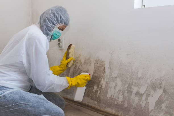 Best Residential Mold Removal  in Doraville, GA