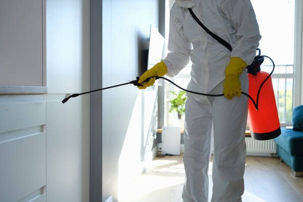 Best Mold Damage Repair  in Doraville, GA